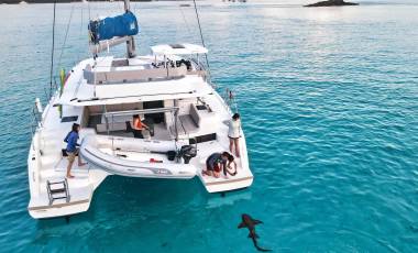 Sharks in the Exumas