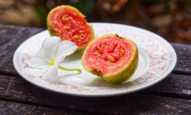 Agana Sailing School