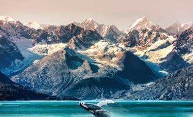 Alaska Vacation Packages