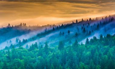Blue Ridge & Smoky Mountains