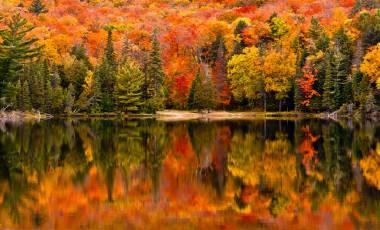 Autumn in Ontario, Canada