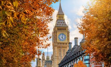 Cruise and Land Tours