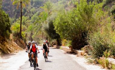 Cycling 20km a day sale