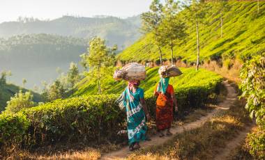 Kerala – God’s Own Country