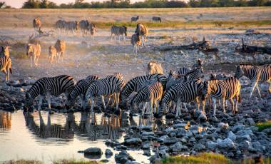 9 Immersive Family Travel Experiences