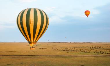 Planet Earth II: Grasslands Review