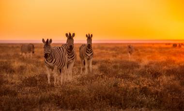 Cycle Namibia