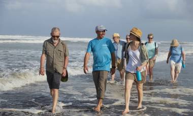 Wildlife Holidays in Costa Rica