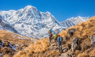 High Tea & Walking in the Himalayas