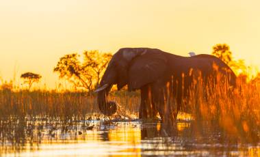 Etosha National Park