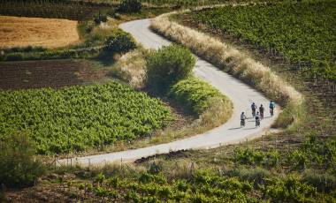 Cycle Cilento & the Amalfi Coast