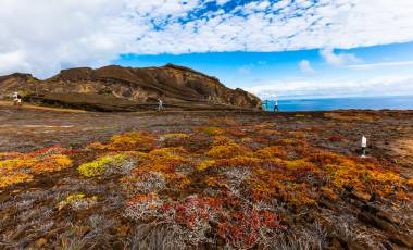Highlights of Ecuador & the Galapagos
