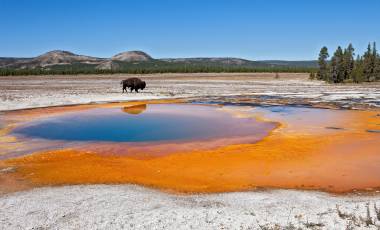 Yellowstone