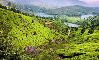 Sri Lankan Highlights