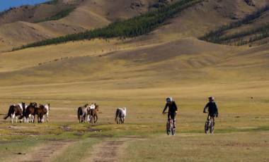 Khan-Do Attitude: Cycling in Mongolia