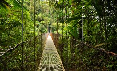 Hanging bridges