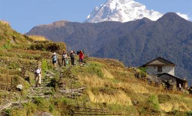 Annapurna Trails & Chitwan – Premium Adventure