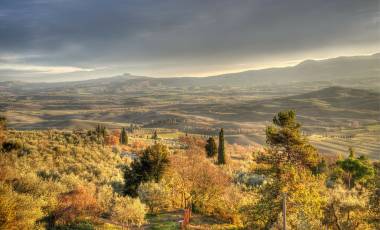 Uncover the fascinating history of Chianti wines in Tuscany