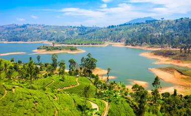 Sri Lanka Tea Plantation near Nurawa Eliya