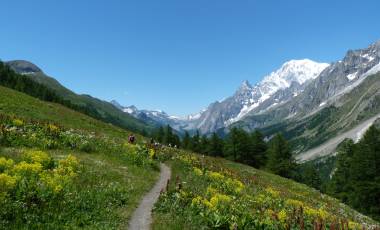 Mont Blanc Highlights