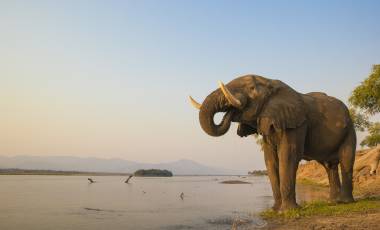 Zambezi River