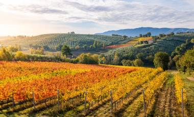 Late Getaways – Walking & Trekking