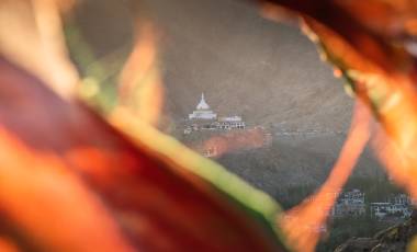 Peaks of Ladakh Trek