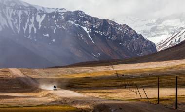 Wildlife & Wilderness Collection