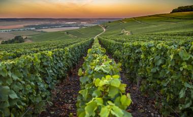 Cycle Northern France: Brittany to Normandy