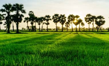 Cambodia