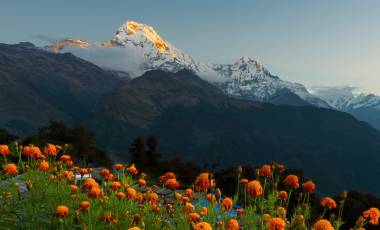 Annapurna