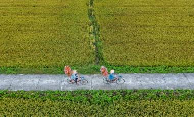 Mekong Delta