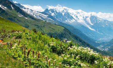 French Alps