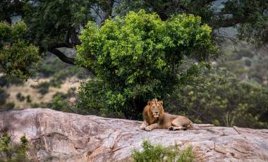 New Wildlife Holidays