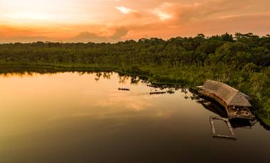 Wildlife Holidays in Ecuador