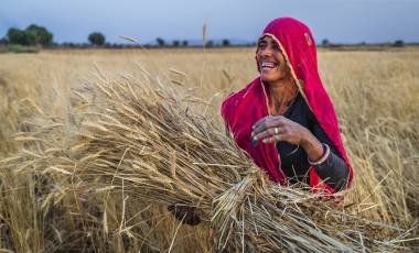 New Cycling Holidays