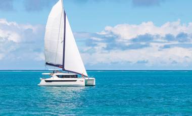 New Year Free Day Offer