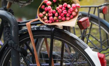 Bike Tulips Amsterdam, Netherlands