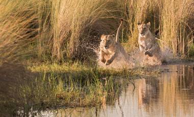 Zambia Travel Guide