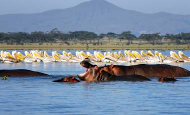 Kenya: Southern Circuit and Beach