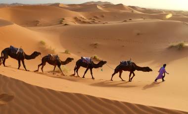 Hotel Sofitel Agadir Royal Bay Resort