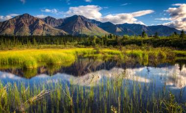 Alaska Cruise