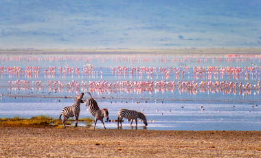 Ngorongoro Crater Lodge