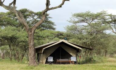 Exterior view of guest tent at Serengeti North Wilderness Camp in Northern Serengeti, Tanzania