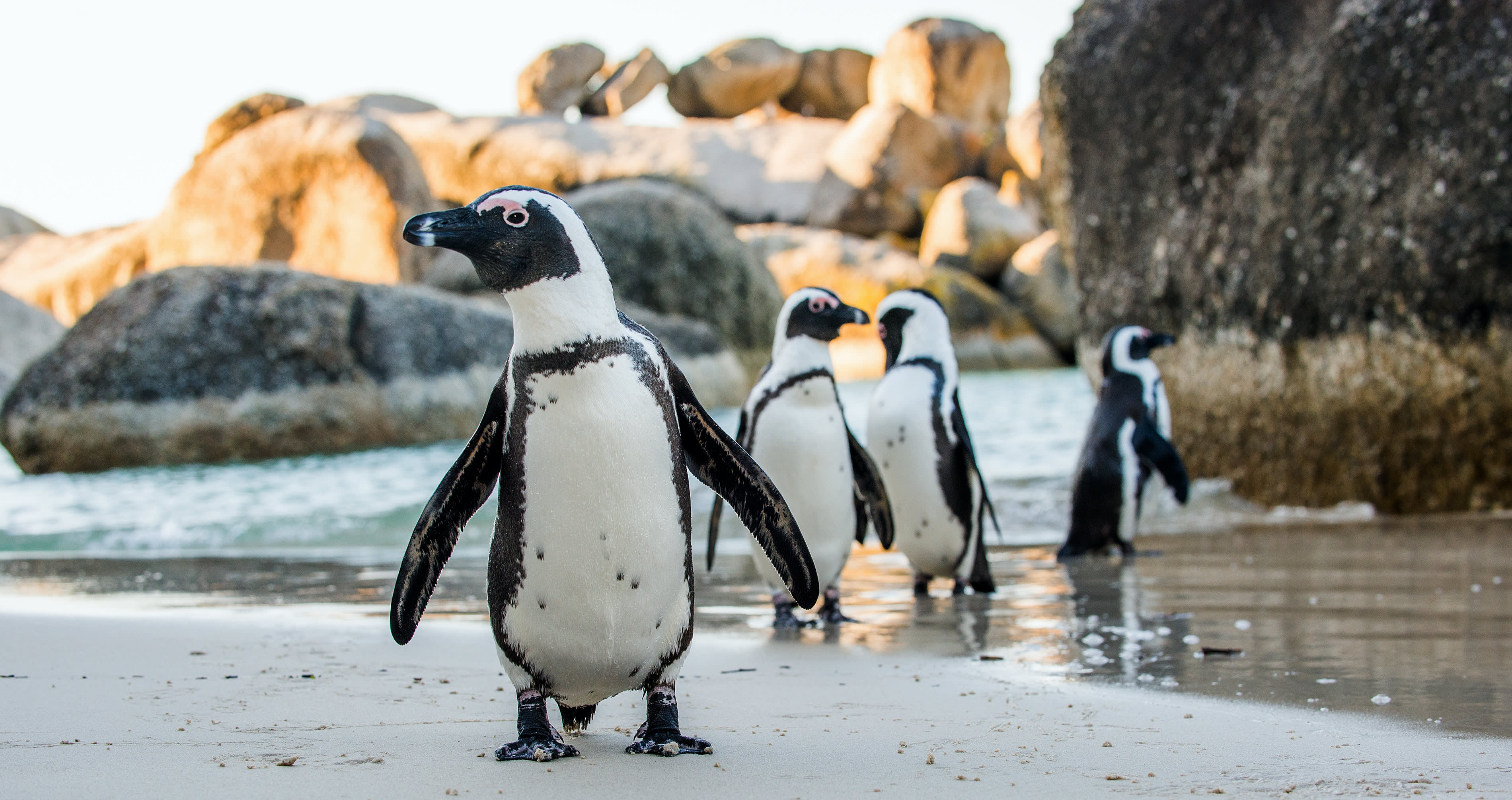 Wild Waters: 7 Ways to Experience the Coast Differently