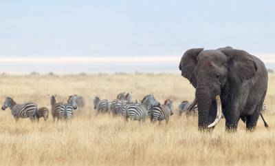 Tanzania