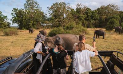 Wildlife Holidays