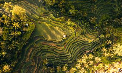 Indonesia