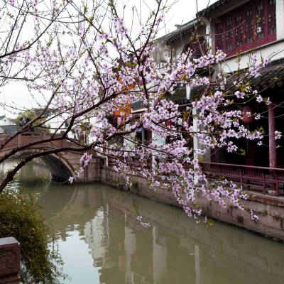 Tongli Water Town
