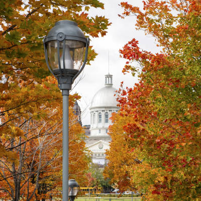 Fall Colours